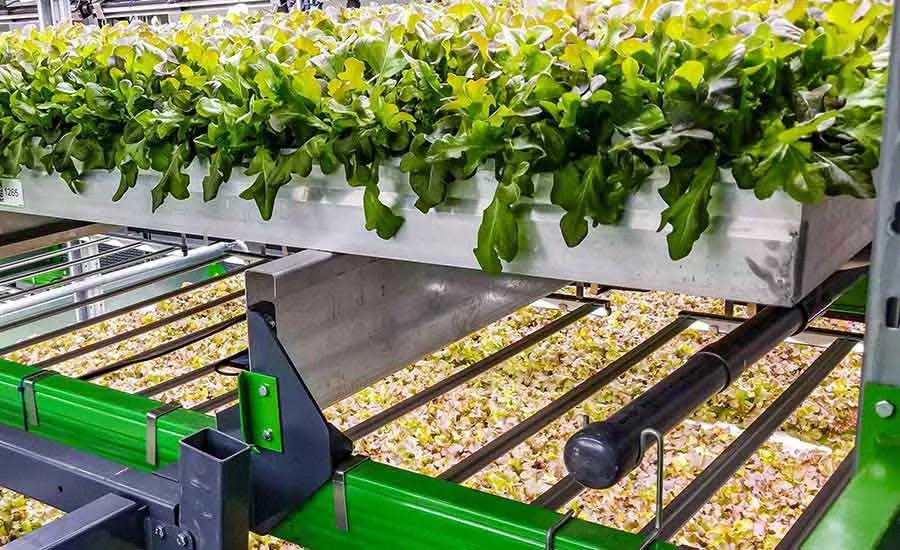 indoor farm
