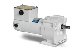 Leeson Electric water-resistant conveyor motor