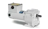 Leeson Electric water-resistant conveyor motor