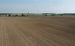 Sustainability